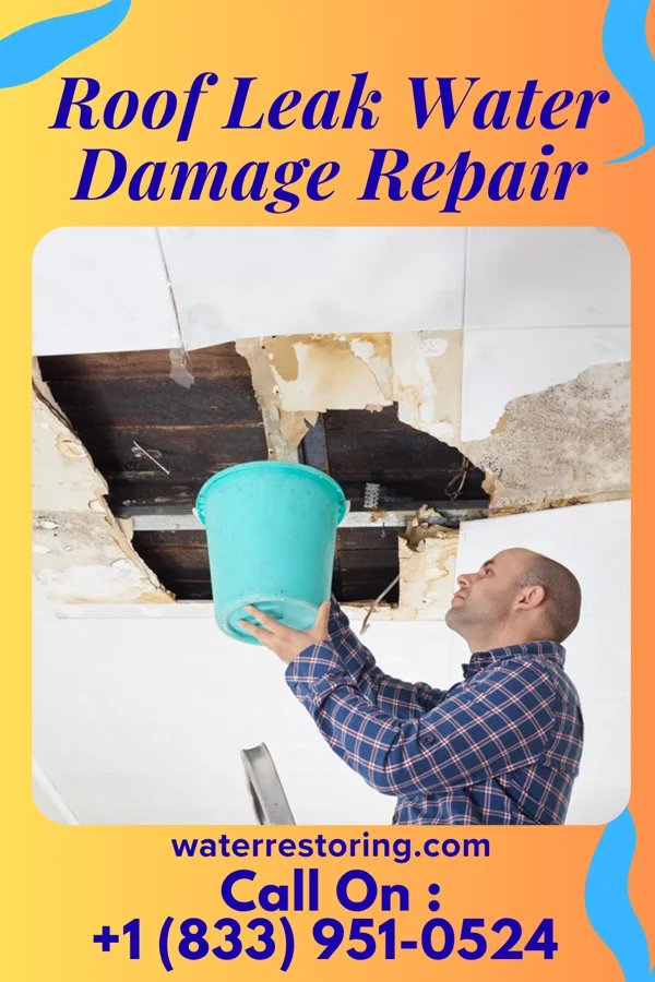 Roof Leak Water Damage Repair in Interlaken, UT